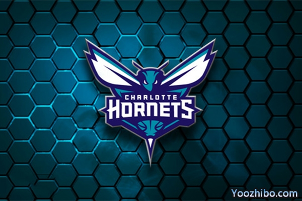 2019-2020赛季<a href=/lanqiugengduo/hornets/ target=_blank class=infotextkey>黄蜂</a>队队徽